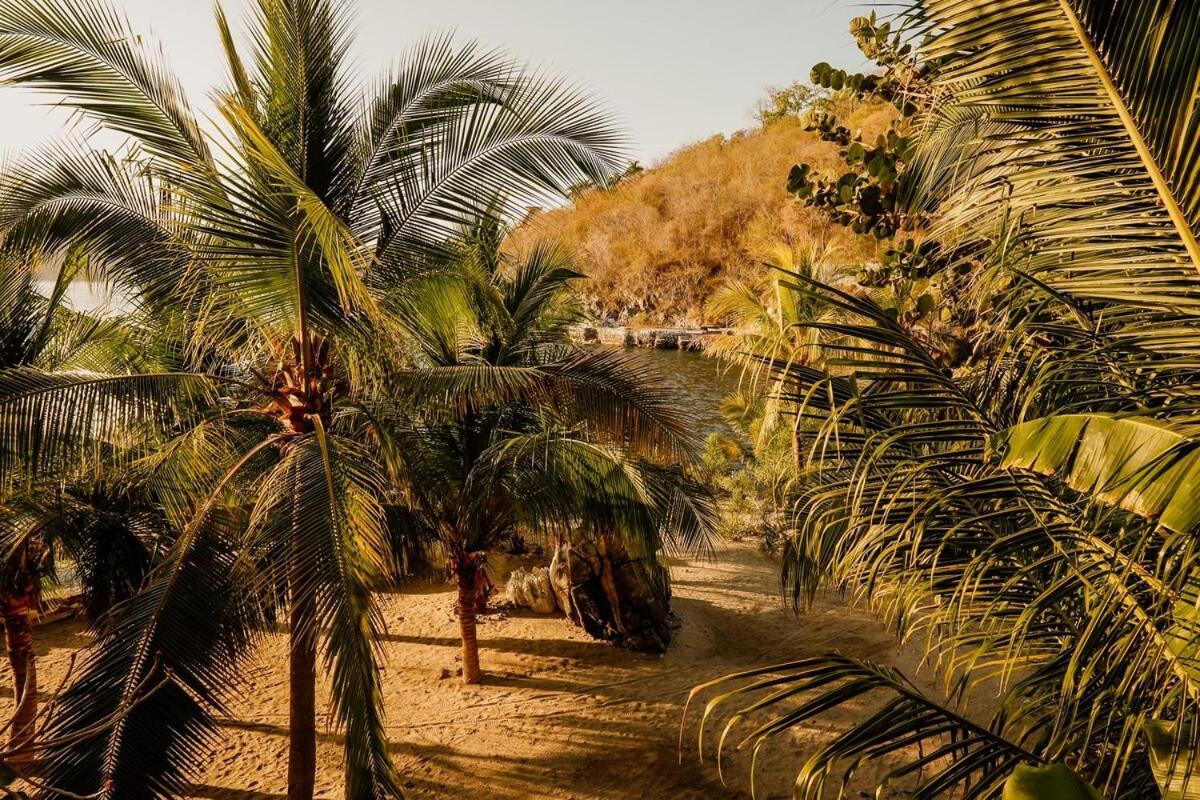 Dream Villa With Private Beach And Catering Zihuatanejo Esterno foto